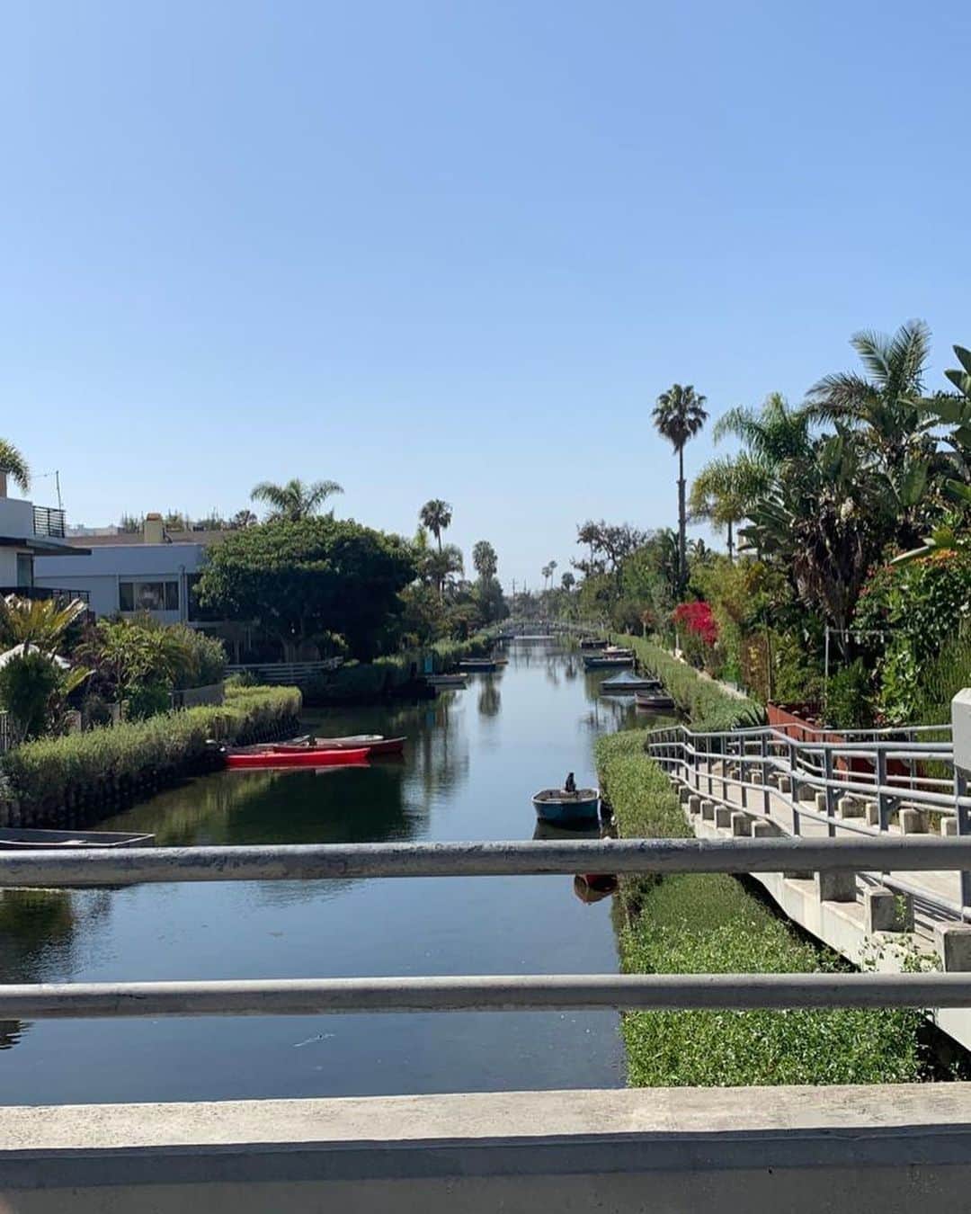 マルク・ホルンシュさんのインスタグラム写真 - (マルク・ホルンシュInstagram)「Cali vibes 🌴☀️💚」6月10日 18時47分 - marchornschuh91