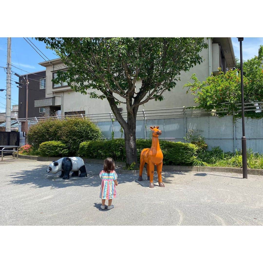 宮本彩菜さんのインスタグラム写真 - (宮本彩菜Instagram)「🌈🚅💟🐼✨🤰🏻」6月10日 23時51分 - catserval