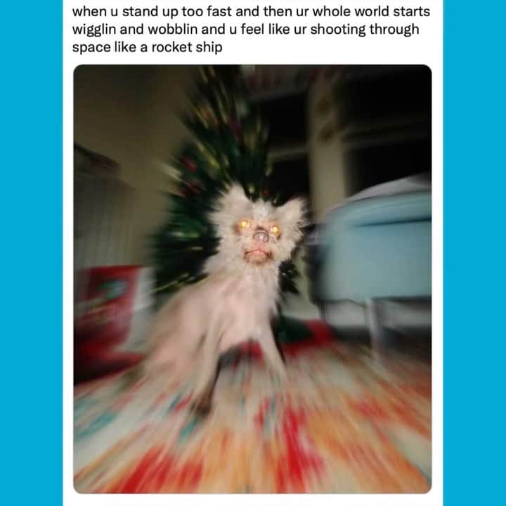 BarkBoxのインスタグラム：「it's a daily game I like to play called 'why my brain turns to a galaxy when I stand up': not enough water? did I eat today? have I been staring at the wall for too long? did I sleep?   Rlly living on the edge when I play that game   #livingontheedge #chaos #living #risk   @thehandsomebean」