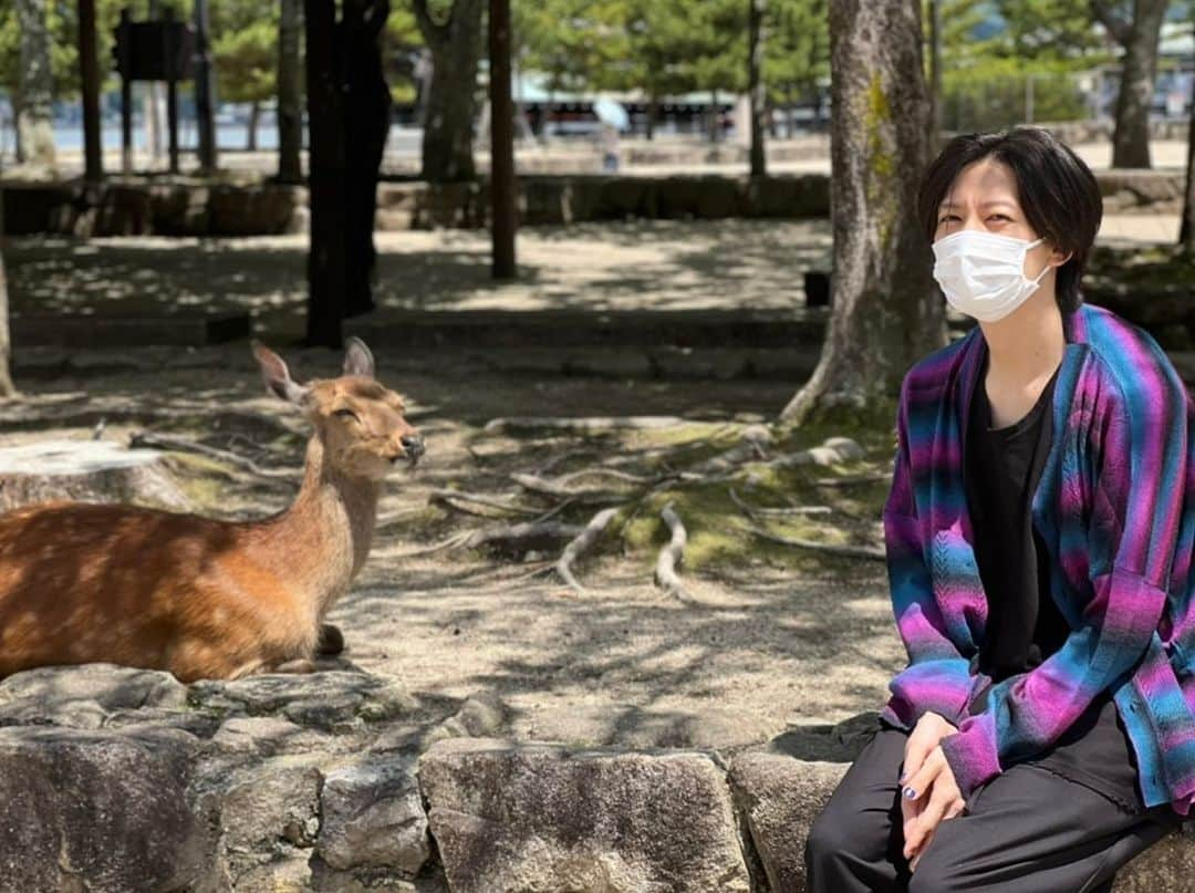 山崎晶吾のインスタグラム：「Photo by ゆうた🦌  #宮島」