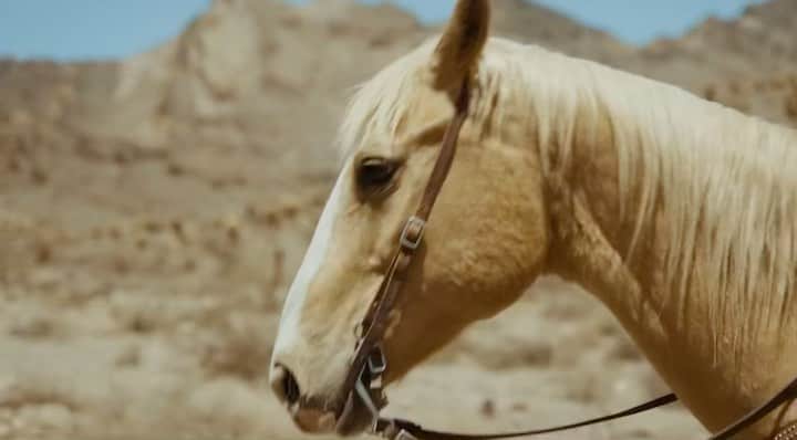 クリス・ウェビーのインスタグラム：「Me and @dizzyhippy are some MF’in #Outlaws in this new video that just dropped..  Shout to @djhoppa for providing the fire ass beat too !!  This video turned out exactly like the song sounded, love when that happens. Run that up on YouTube 🤠🐴🌵🕸」