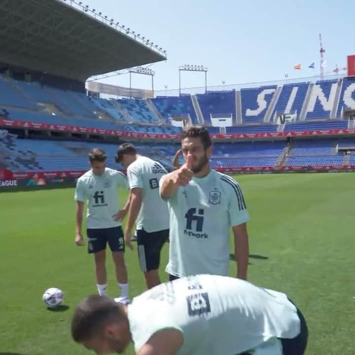コケのインスタグラム