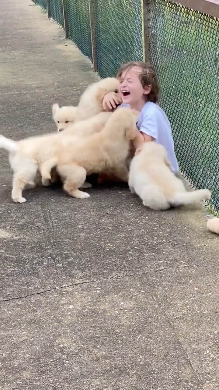 Daily The Best And Funniest Videosのインスタグラム：「Precious 😍 By @gffkennel」