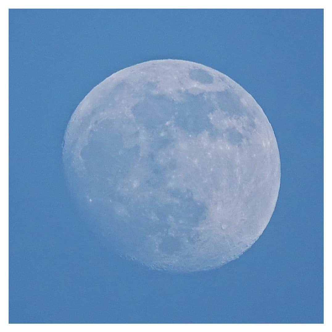 さだまさしさんのインスタグラム写真 - (さだまさしInstagram)「明後日 満月🌕 明後日6月14日(火)「うたコン」生放送 19:57～20:42 NHK総合　 スケジュール活発だし、お天気もちょっと自信ないかなぁ？ で、フライング満月🌕 空が明るいうちの月も綺麗だなぁ〜 . #ストロベリームーン #満月 #ほぼ満月 #フライング満月 #さだまさし #sadamasashi」6月12日 18時33分 - sada_masashi