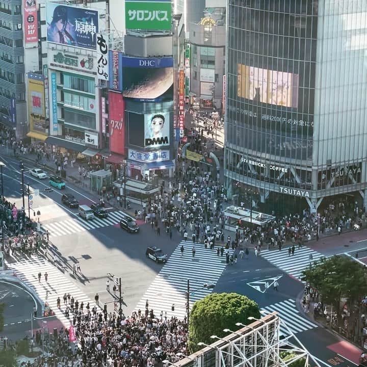 野宮真貴のインスタグラム