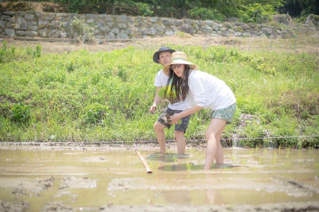 矢野由希子さんのインスタグラム写真 - (矢野由希子Instagram)「田植えデートフライデーされたよ🫣 みたいな写真を撮ってもらったよ！  一緒にいるのはマネージャーだよ！ @ikemako   この写真のTシャツ作るから、 欲しいひとは言ってね！！(要らない)  泥と遊ぶのも楽しいね！！！  #田植え #無農薬米 #🌾 #earthing  #今年はビールも作るんだとか #美味しいんかな #楽しみだね #🍺 #🍻 #糸島」6月12日 12時01分 - yanoyukiko_