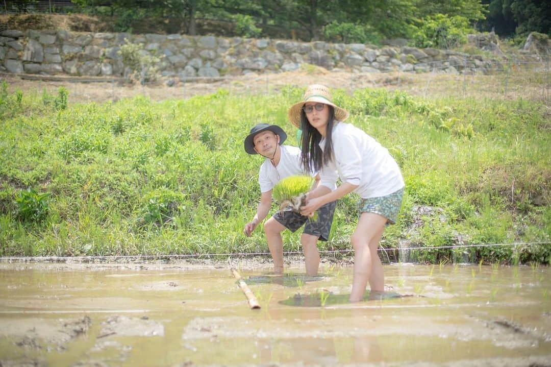 矢野由希子のインスタグラム