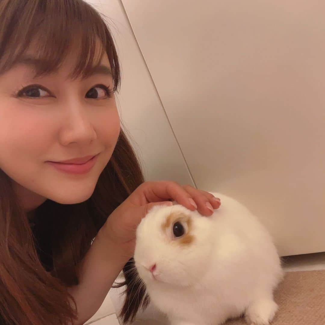 安めぐみのインスタグラム：「今日のもふもふ。  #うさぎ #🐇 #今日のもふもふ #お疲れ様でした☺️」