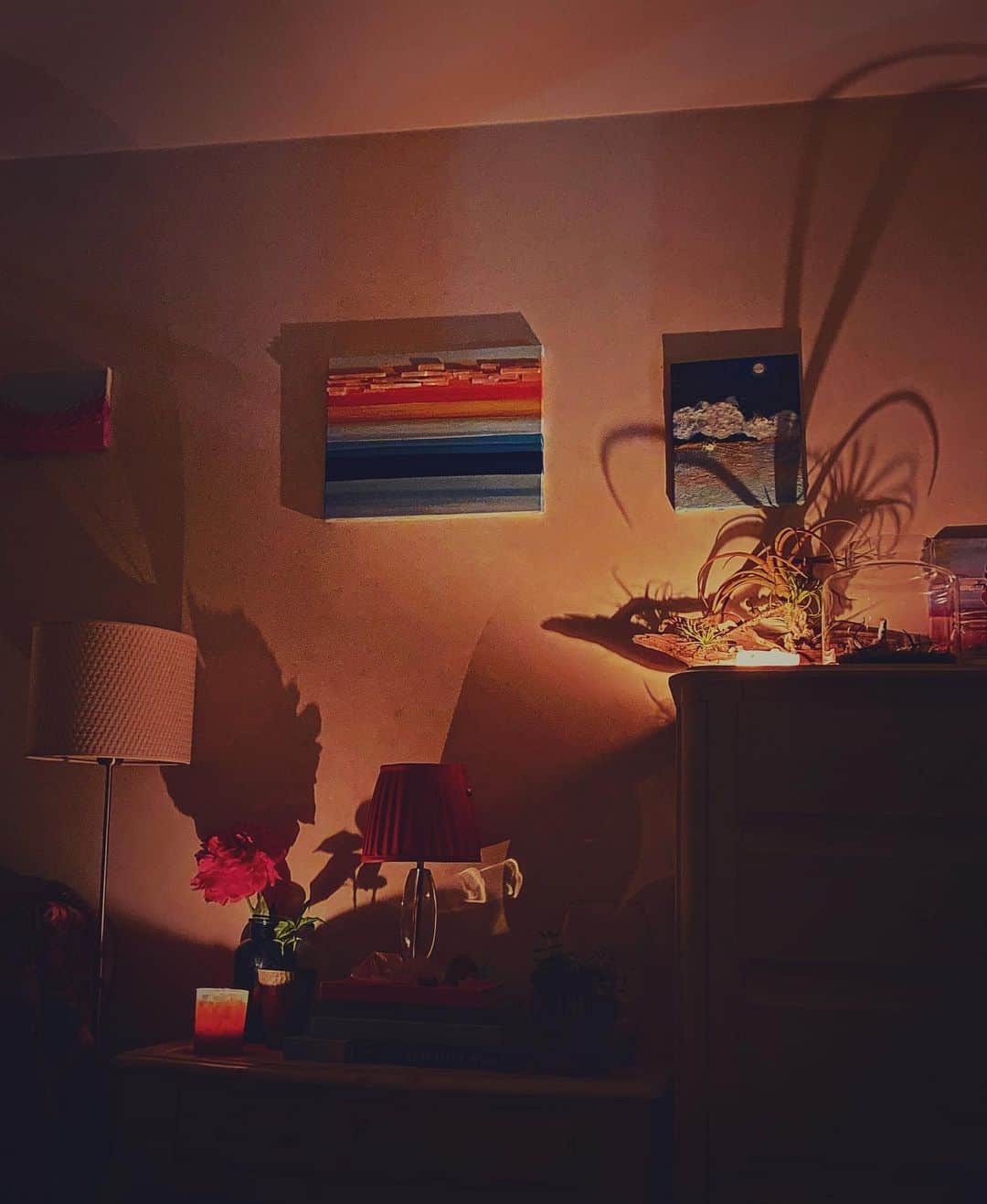 澤田友美のインスタグラム：「. By the shadow. 🐈‍⬛」