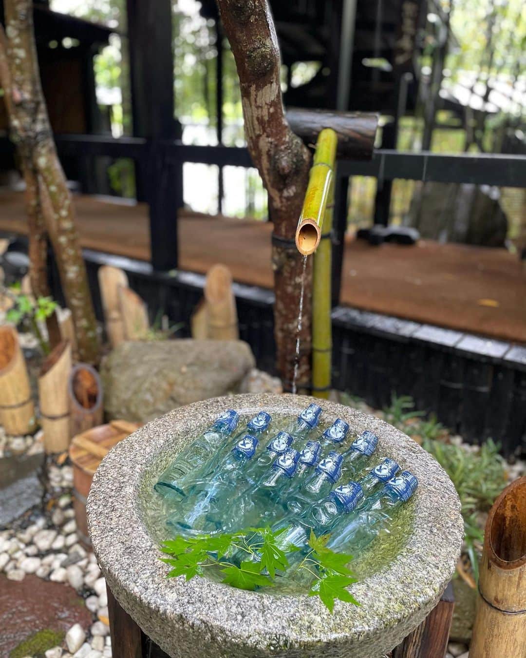 ぴょん♡のグルメインスタ