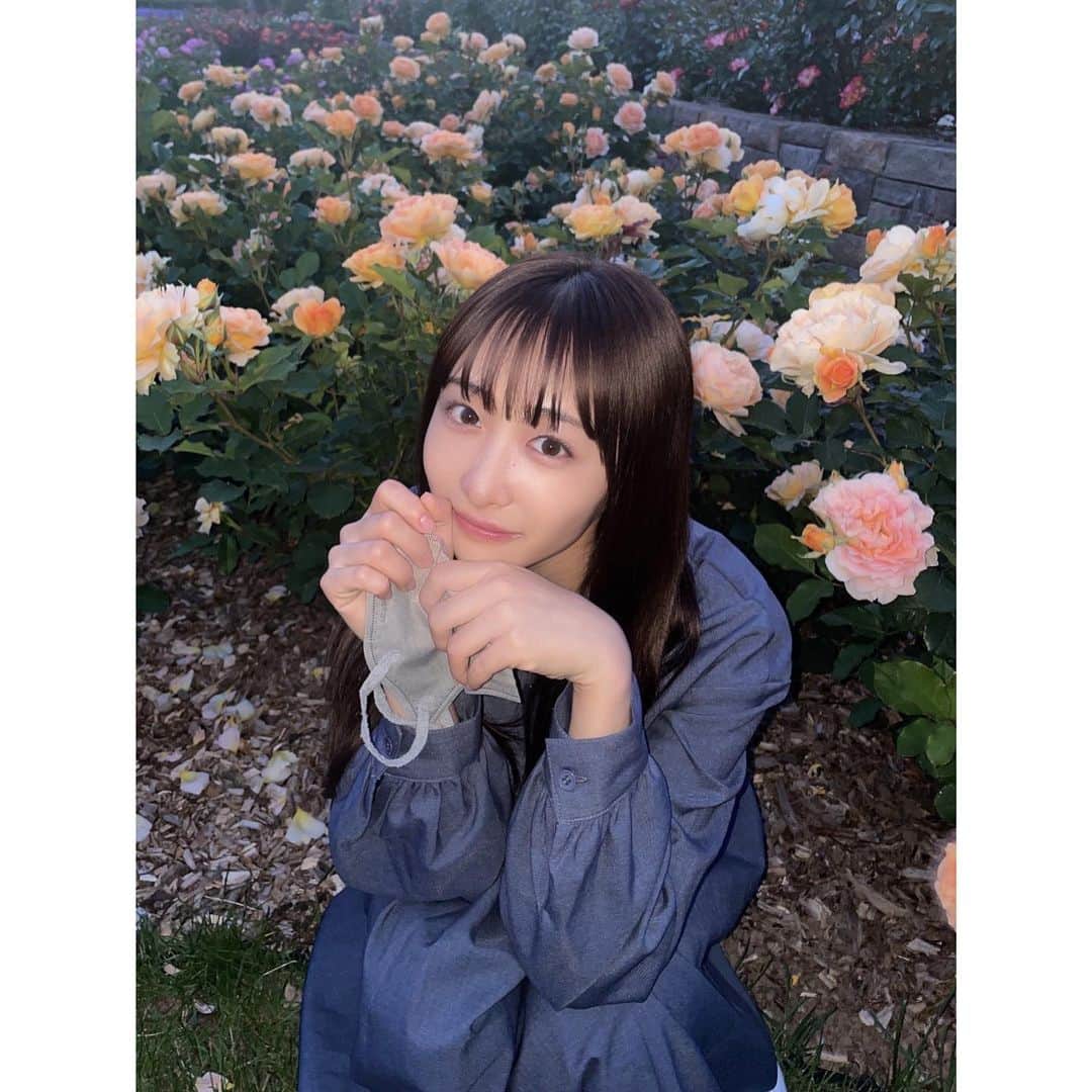石川翔鈴さんのインスタグラム写真 - (石川翔鈴Instagram)「. 今年こそは沢山色々なところに お花見に行きたいな〜🌼 ハニーパフューム、いい香りで好きになった☺︎」6月13日 23時58分 - karen__i328
