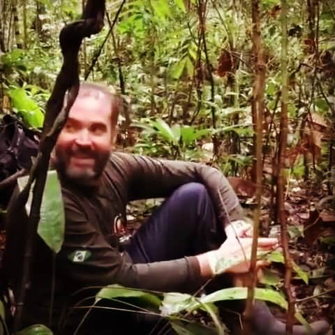 カロライナディークマンのインスタグラム：「o que dizer? melhor escutar… que esse canto chegue até você.  não precisa entender, basta sentir… sentir muito. eu sinto muito.  #justiçapordomebruno   ••• video roubado da @monica.iozzi」
