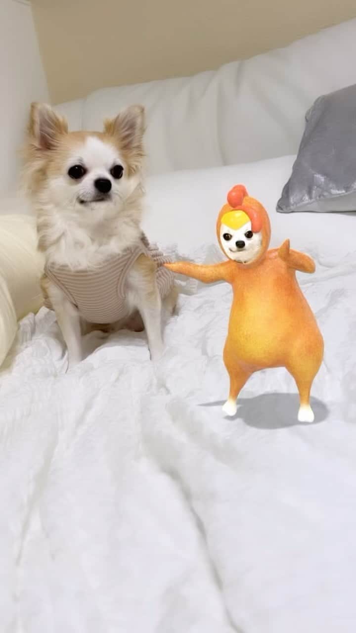 楓のインスタグラム