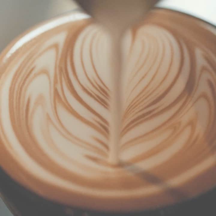 De'Longhi Sverigeのインスタグラム：「I en cappucino ska mjölkskummet vara tätt, krämigt och utan synliga bubblor. Toppa gärna med lite kakao, kanel eller kardemumma! 🙌 #delonghi #seriousaboutcoffee #kaffekärlek #coffeelove」