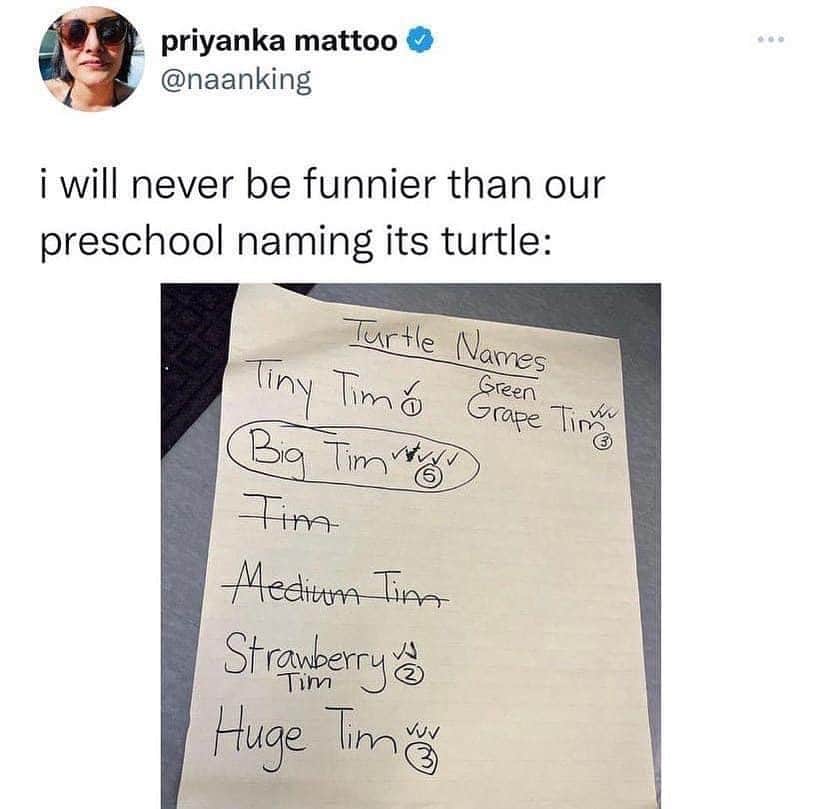 Average Parent Problemsのインスタグラム：「Glad they didn’t go with plain Tim 🐢// credit: Naanking on Twitter」
