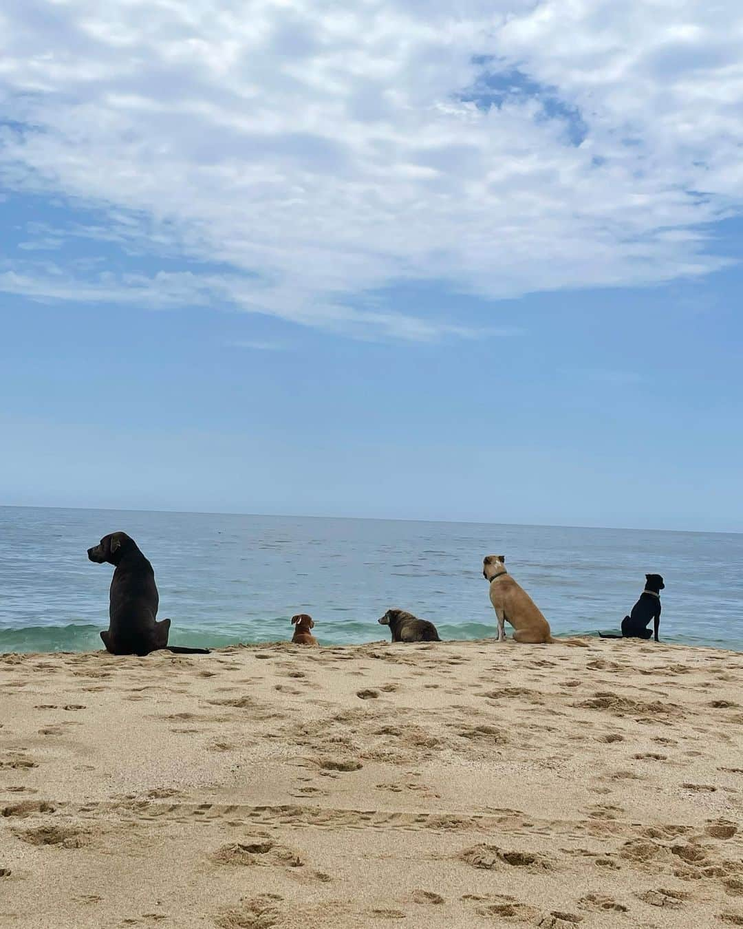 マンディクーンのインスタグラム：「Baja family portraits」