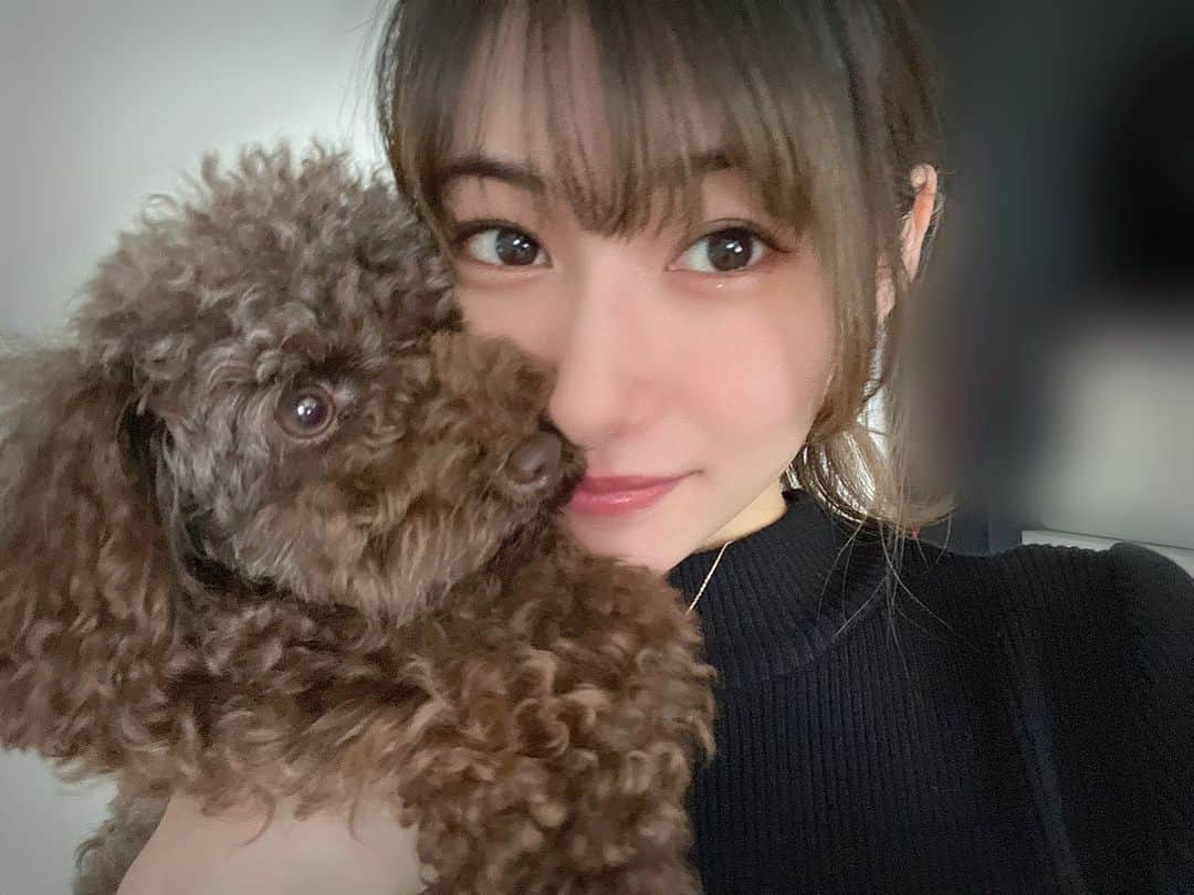江藤彩也香のインスタグラム：「びびしゃん🥰🥰  #犬のいる暮らし #タイニープードル #プードル #トイプードル #犬 #ブラウン #ふわもこ部」