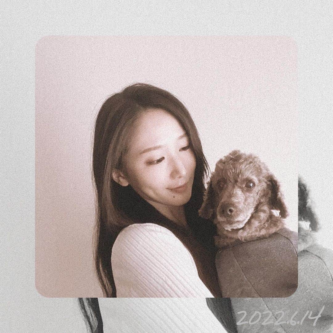 佐藤円香のインスタグラム