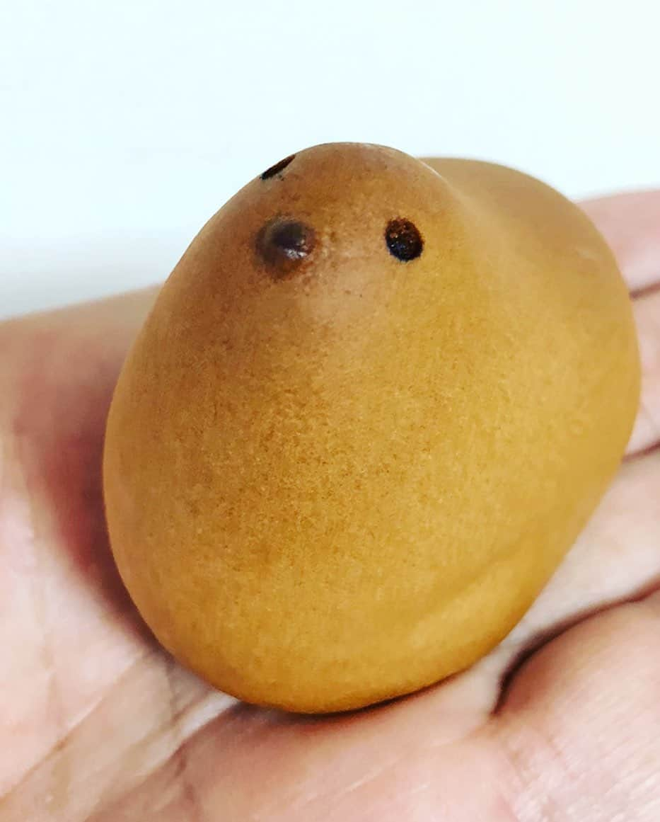 ほんこんさんのインスタグラム写真 - (ほんこんInstagram)「#ひよこ饅頭 #捕まえた #ほんこん」6月14日 15時58分 - hongkong2015_4_9