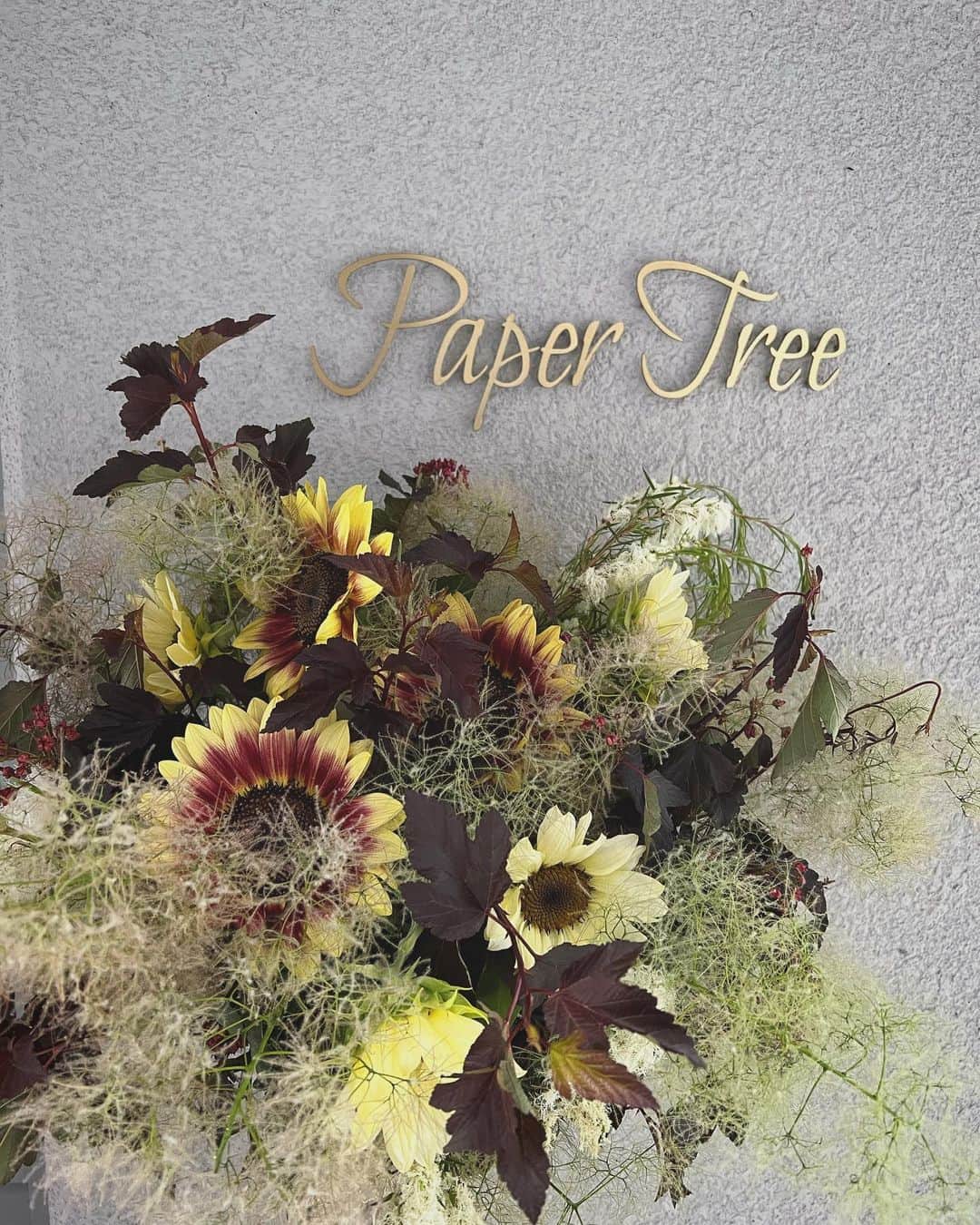 畑野ひろ子のインスタグラム：「@papertree_official   #thankyou」
