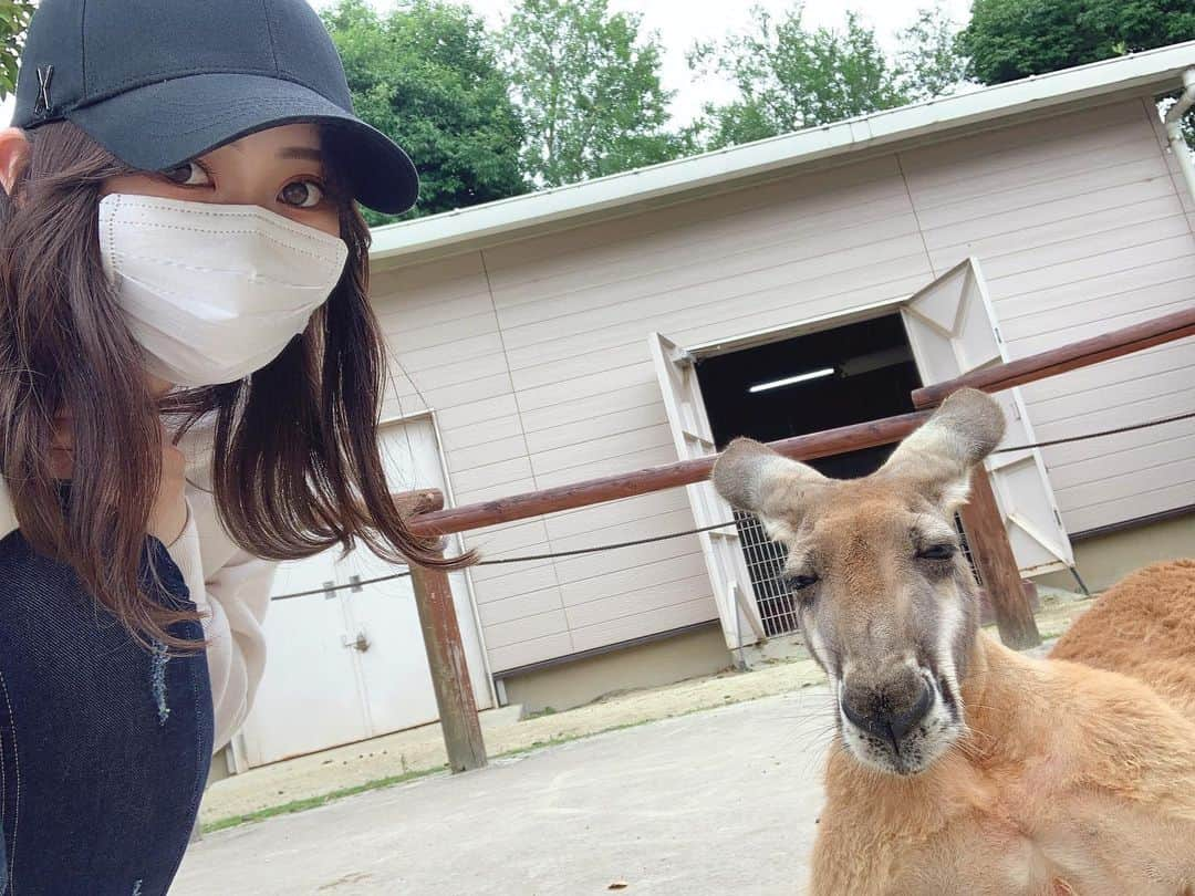 田中めいさんのインスタグラム写真 - (田中めいInstagram)「🦘📷」6月14日 19時57分 - meicat__meow