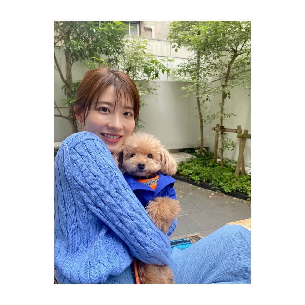 郡司恭子さんのインスタグラム写真 - (郡司恭子Instagram)「* 💙💙💙  肌寒い1日でしたね…🤧 この日はリンクコーデで、お散歩&ランチ🍴  あしたはニュース担当日です、 よろしくお願いします✨  #💙 #💙💙💙 #リンクコーデ  #🐶 #愛犬のいる生活 #お揃いコーデ  #トイプードル #トイプードル男の子  #トイプードル好きな人と繋がりたい  #latergram #休日 #休日コーデ #とある休日  #日本テレビ #日本テレビアナウンサー  #郡司恭子」6月14日 21時17分 - kyoko_gunji