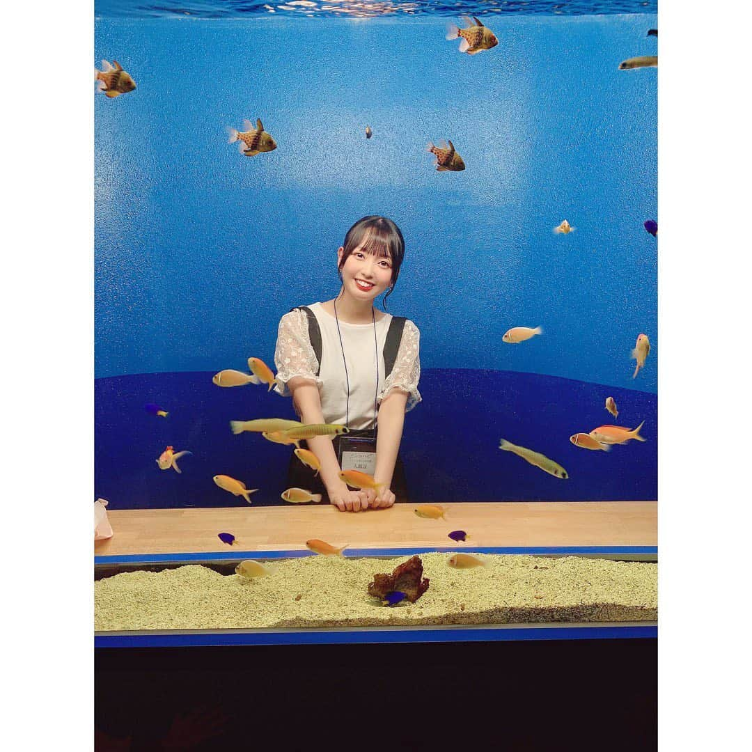 石田みなみのインスタグラム：「⁡ ⁡ はじめての宮島水族館🐠🐬 ⁡ 本当に本当に素敵な場所で また次早く行きたいって 思っちゃうくらい虜になっちゃいました☺︎ ⁡ ⁡ #STU48 #charmingtrip #idol #アイドル #Stucharmingtrip #石田みなみ #瀬戸内 #広島 #hiroshima  ⁡#宮島 #宮島水族館 #水族館 #🐠  ⁡」