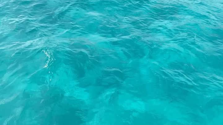 のインスタグラム：「♡ ⁡ 離島にいるオットから送られてきた、青い海🏝 いいなぁ... ⁡ 沖縄は来週、やっと梅雨明けしそうですね☂️ こっちに来てから晴れは2日間のみ。 今日は30℃まで上がってさすがに暑かった💦 湿度もすごくて、ずっとお風呂場にいる気分〜 　 そういえばスーパーでシイラの切り身が普通に売っていて、びっくり！ ⁡ 　 #沖縄#離島#海#船#シイラ」