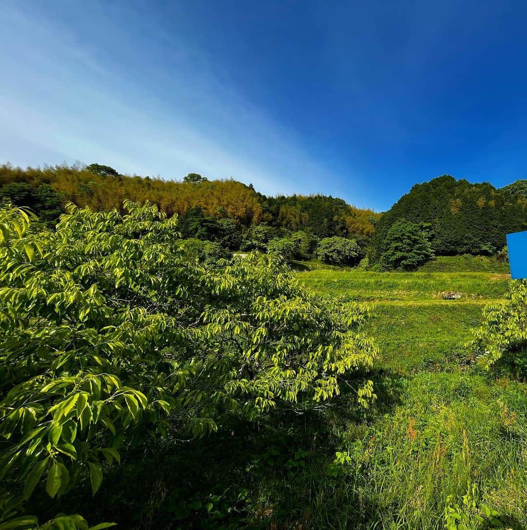 千秋さんのインスタグラム写真 - (千秋Instagram)「岡山県津山市。 わたしには田舎がないからこういう風景に憧れます。」6月15日 12時11分 - chiaki77777
