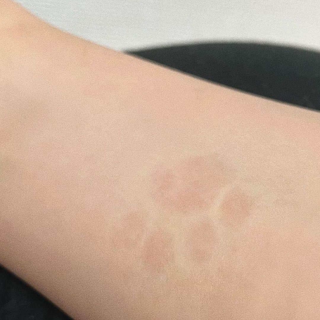 sarimaru(国木田さりまる)のインスタグラム：「gm🐾」