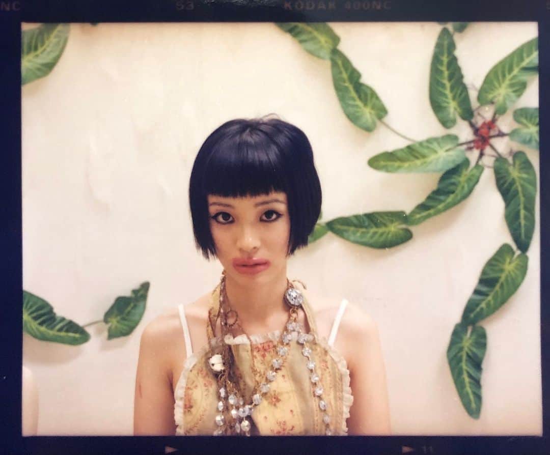 川本真琴のインスタグラム：「撮影　佐内正史」