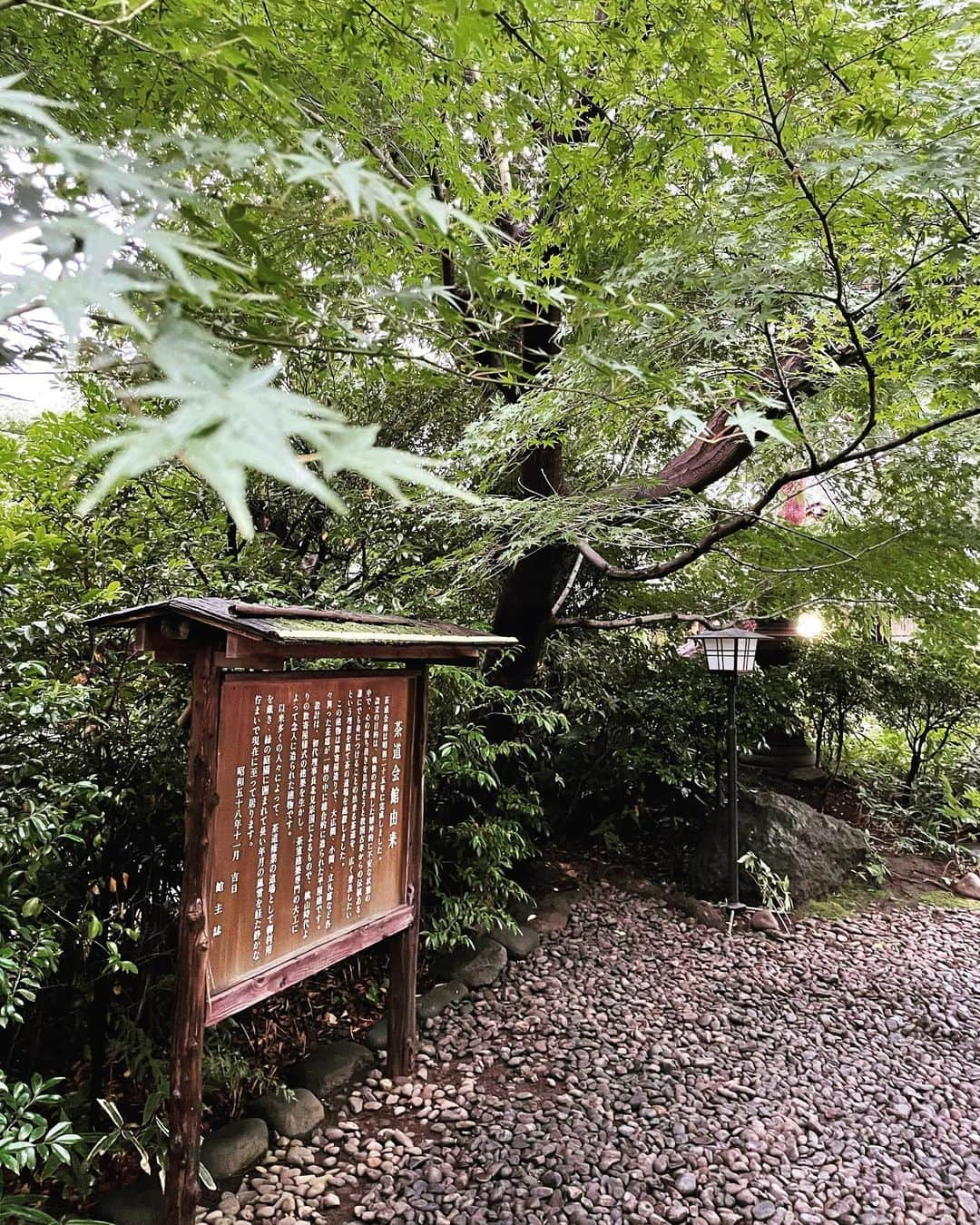 中条あやみのインスタグラム：「雨の日は身体が重たくなったり大変なこともあるけど、いつもと違う景色があっていいなと思うこともあります。  足もとに気をつけながら たまには青々としたみどりも見上げてみてくださいね🌿  #看脚下   #茶道   #ならいごと」