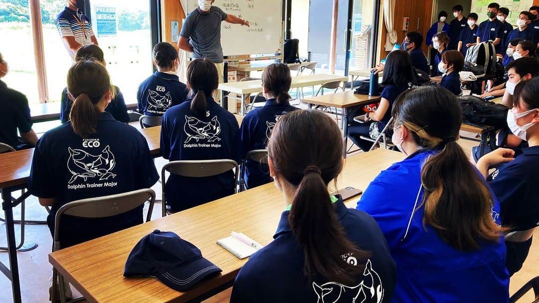 【公式】福岡ECO動物海洋専門学校のインスタグラム：「おはようございます☀ 暑い💦日が続きますが、 昨日は海洋系の学生達と 海の中道海浜公園(光と風の広場)にて 『🌊水族館総合演習🐟』 に出かけました‼️ マリンワールド海の中道のスタッフの皆さんにご指導頂きました✨  とても暑かった😅ですが、 学生みんな楽しく学んでいました😊♪  #福岡eco #海の中道海浜公園 #環境共生の森 #水族館アクアリスト専攻 #水族館マリンリゾート専攻 #ドルフィントレーナー専攻 #マリンワールド海の中道」