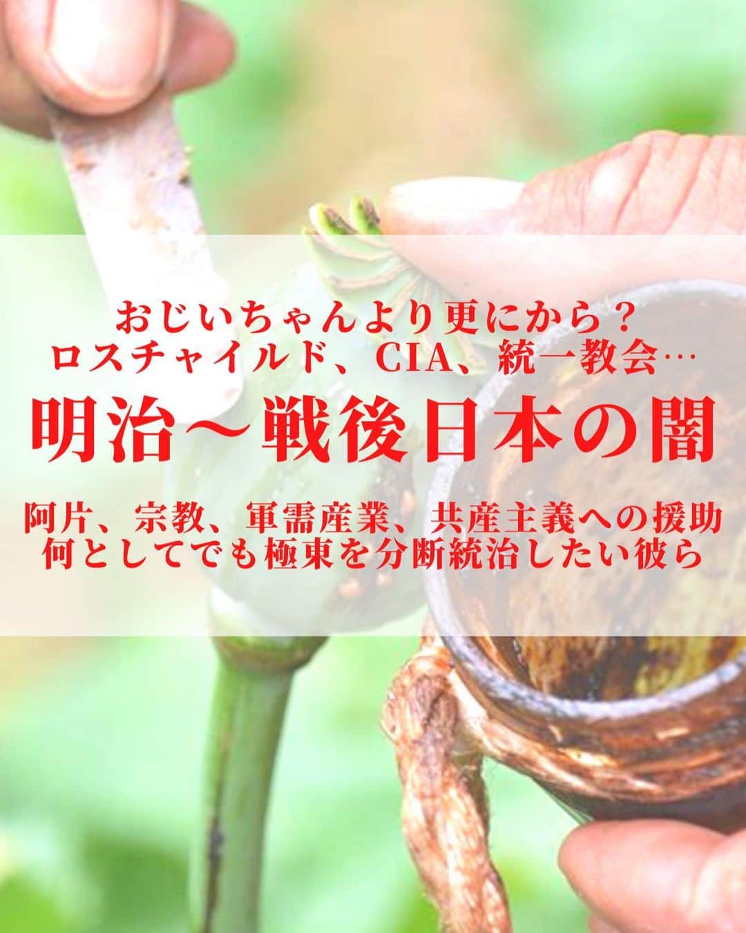 大石あやかさんのインスタグラム写真 - (大石あやかInstagram)「極東とイルミナティのダークなつながりをまとめたよ👍襲撃事件の根源であり、何かの再来なかんじ😖 岸感…いや、既視感💦 すべては明らかになりはじめるのだろうか。  ＞＞＞＞＞  《明治維新から》 1.日本と江戸に恨みを持つ長州の若者を使って明治維新をしたグラバー率いるロスチャイルド極東支部（清国をアヘンで潰した人々）マネーを投じて軍需産業拡大 👇👇 2.日本の『乗っ取り』が起こる。教育勅語や皇国史観を使って「日本のアイデンティティ」により神道を一神教に置き換え、大衆洗脳 👇👇 3.その人々の系譜（長州&皇族貴族&財閥･軍閥）が、結託。今度は満州でアヘン製造･販売して軍費調達。軍需産業へマネー流れる 👇👇 4.当事者たち、敗戦で戦犯としてGHQ（のちにCIAとなる）に捕まる 👇👇 5.A級戦犯は処刑されたが、満州利権に関わる数名だけなぜか釈放 👇👇 6.岸信介ら釈放された面々は、逆に米国からお金をもらってCIAエージェントとなる（のちに文書開示、関係者による暴露）政界（岸信介）･財界（笹川良一）･芸能界（里見甫）･メディア&スポーツ（正力松太郎）･闇社会（児玉誉士夫）をそれぞれ支配 👇👇 7. 1950年代〜極東の対立･冷戦の仕掛け人として、やはり軍需産業の姿（日本は三井三菱住友など）そこにもやはり岸信介･吉田茂らの影（安倍麻生のおじいちゃん世代） 👇👇 8.CIA、宗教法人をスパイ組織の隠れ蓑に。統一教会など。政治家に資金提供や選挙協力。Qアノンなどの世論撹乱も。 👇👇 9.国内では皇国史観と憲法改正論を再度盛り上げて再軍備化（軍需産業へのマネー流入）を狙う  ＞＞＞＞＞  ふぅ〜😮‍💨😮‍💨 なかなか大変やな、この国も。  それが、今日びの事件や選挙に繋がってるというわけ💦  あとは、ここでは書ききれなかったけど、製薬利権や薬害エイズ、加計学園問題、モンサント製枯葉剤などにつながる731部隊の流れもある。  🤷‍♀️🤷🤷‍♀️🤷  歴史の授業では教えてクレナカッタネー  だから自分で調べたわけなんだけども。 そろそろバレバレになっていいのかも⁉️ 隠しきれない世界の真実  お金を追うと見えてくる、 スポンサーがいて全てを仕掛けてる。  世論が動けばお金が流れる、 その一番分かりやすい流れが 軍備と戦争、、、🤑🤑💦  もうそろそろ、気付いていきましょー 死者の政治利用もね。靖国とか神社じゃなくて陰陽･儒教式呪術の『招魂』を行う《東京招魂社》だし。  哀悼とかエモい挙国一致で思考を止めるな🚨⚡⚡真実はその先にある😎  スピ系はまたまとめるね👋💕   #満州アヘン人脈  #巣鴨プリズン  #陰謀論  #陰謀論のリアル  #ロンメル死  #Qアノン  #統一教会  #長州  #満州アヘンスクワッド  #CIA  #勝共連合  #731部隊  #軍産複合体  #ロスチャイルド  #イルミナティ  #岩倉具視  #坂本龍馬  #グラバー園  #明治維新  #憲法改正  #選挙  #岸信介  #読売ジャイアンツ  #電通  #日本財団  #池口恵観  #鮫島  #薩長同盟」7月10日 12時38分 - indigo_ayaka
