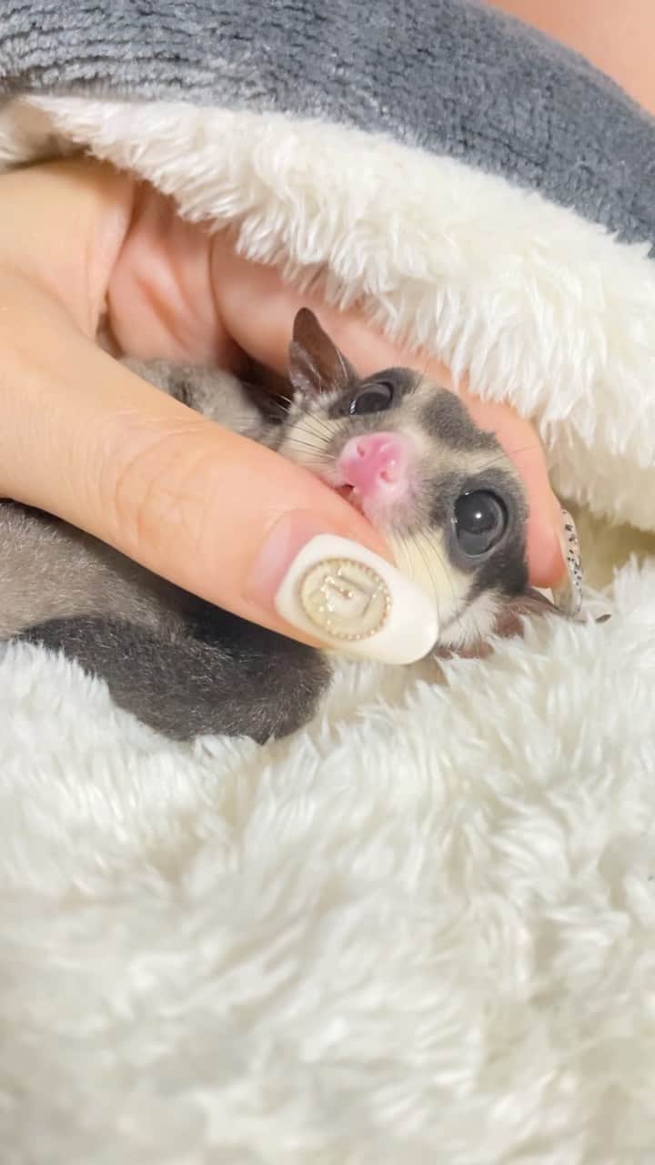 はりーのインスタグラム