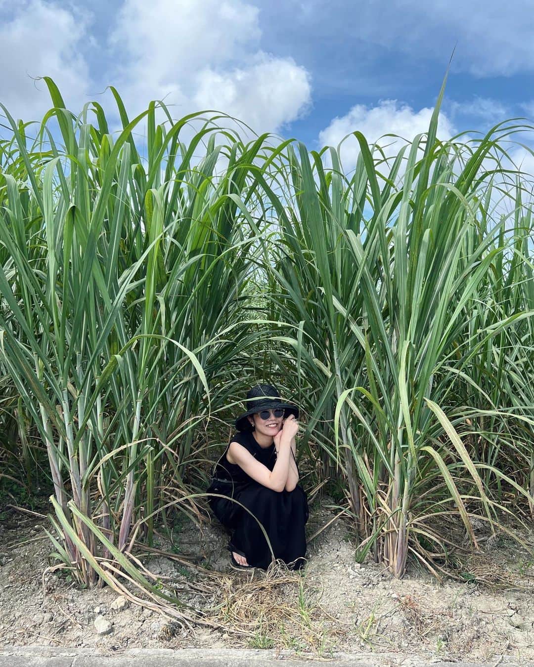 春田麻緒のインスタグラム：「ざわわ🌱🌺」