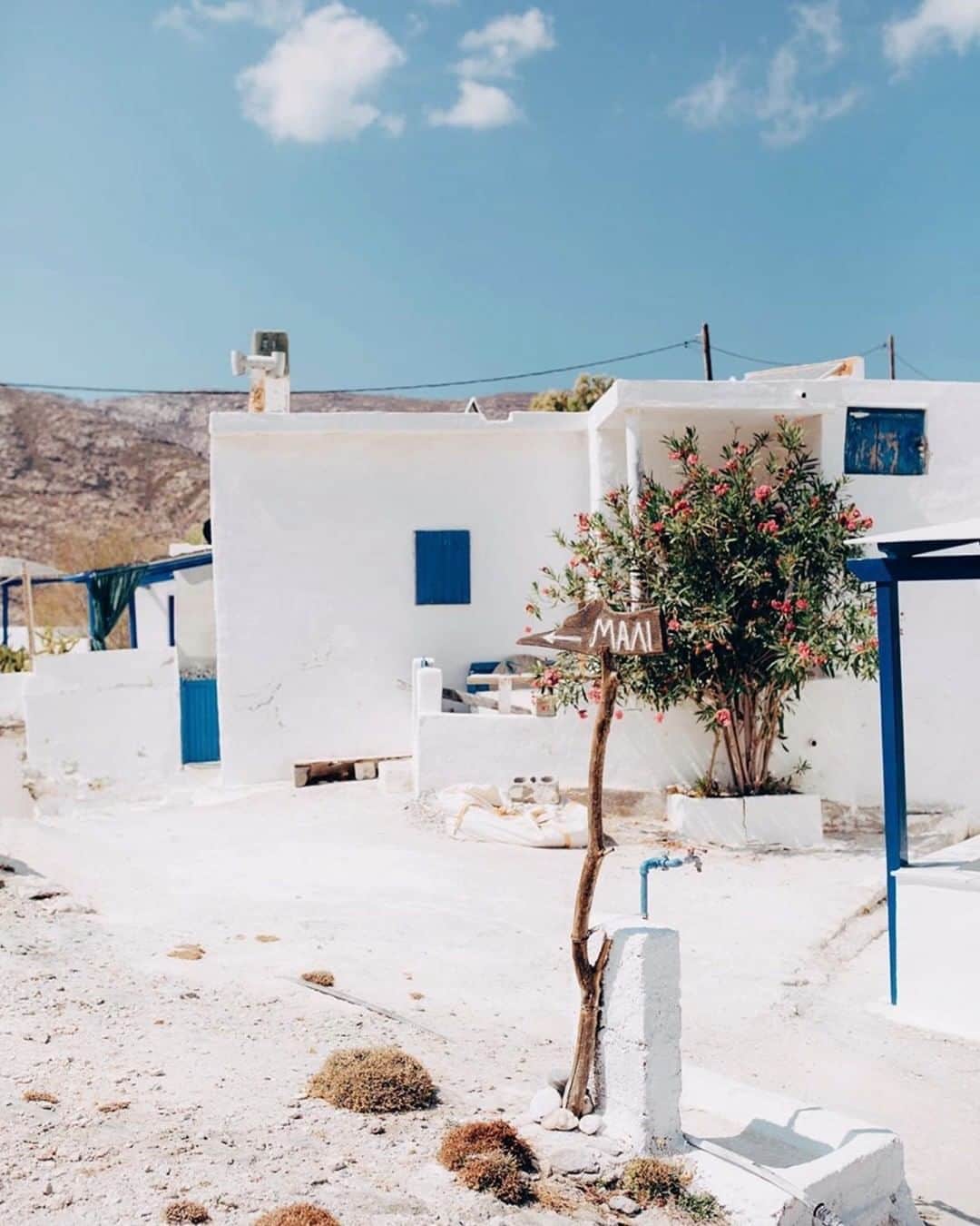 バネッサ・ブリューノのインスタグラム：「This summer, @quartiercollective takes us on a journey to Tinos. Check out their story about their family gatherings and travels. _  Nomades des temps modernes.   #vanessabruno #SS22 #summerodyssee」