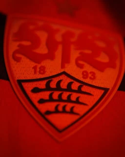 ヴァルデマール・アントンのインスタグラム：「Forza VfB 🔥 #wowa⛰」