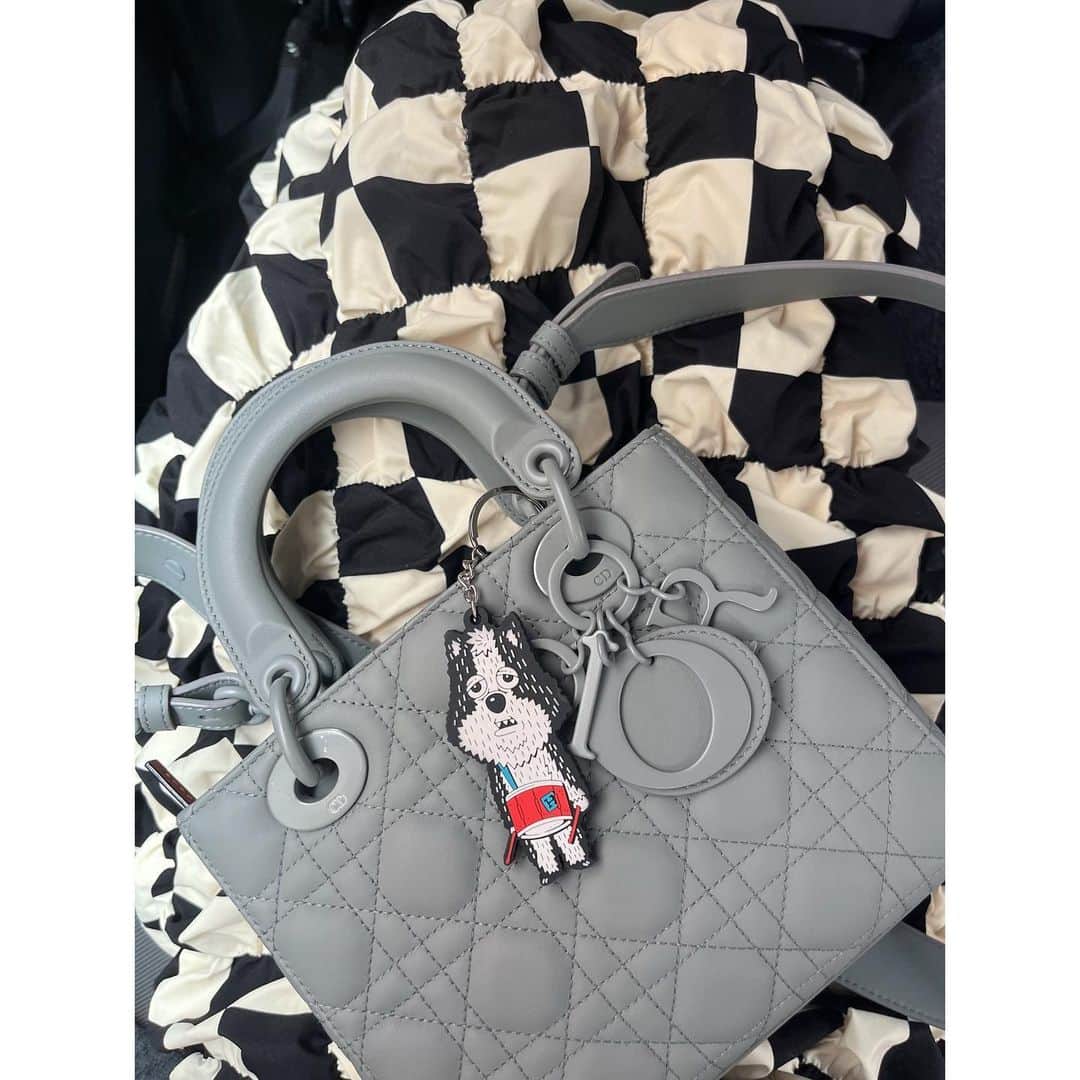 梅村妃奈子のインスタグラム：「. このバッグ わたしはずっとカーキだと思ってたけど グレーみたい🙄❔ #ladydior」