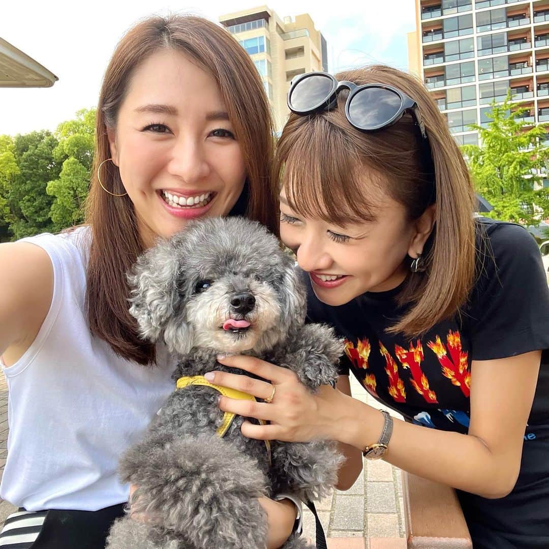 杉下理世のインスタグラム：「👅🐕‍🦺🖤 南とロコしゃん１年振りの再会🖤 てへへ😋 #トイプードル #トイプードルブラック #黒プー #黒トイプー #犬のいる暮らし #シニア犬 #🐕‍🦺」