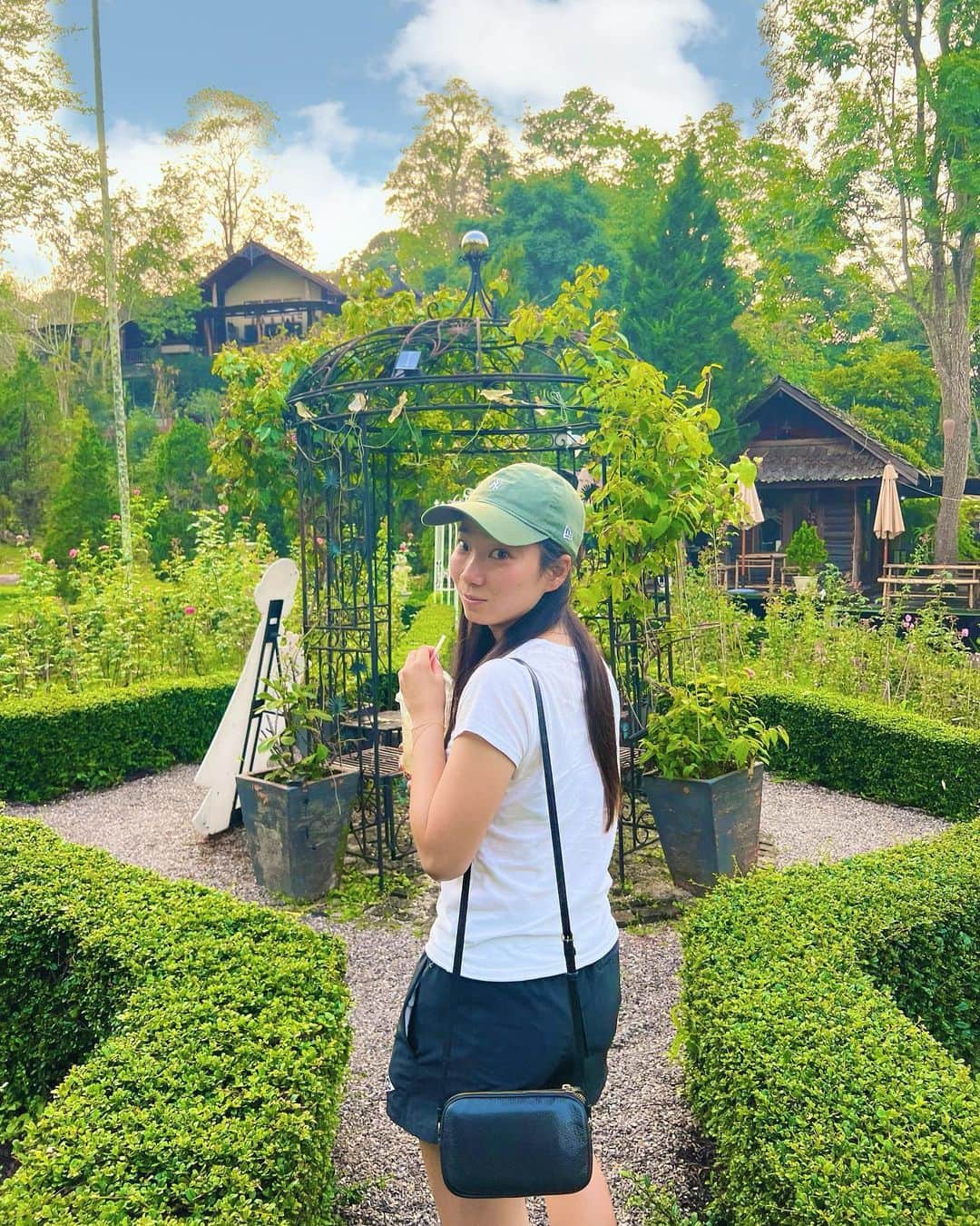 のインスタグラム：「. . . 🌿🍃 . . .」