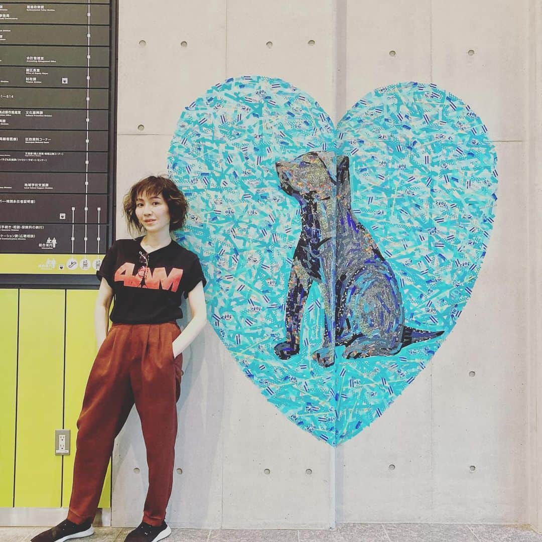 川村由紀のインスタグラム：「渋谷区役所の館内BGM選曲を担当させて頂きました。今回のリニューアルに際して、月曜〜金曜5パターン、12:40〜と17:40に約15分づつ放送となります。  I did some work to selecting the BGM at Shibuya Ward Office. For this renewal, the program will be broadcast in five patters from Monday to Friday, from 12:40pm to 5:40pm, for about 15minutes each.   #チルアウト #カワムラユキ #渋谷 #shibuya #chillout」
