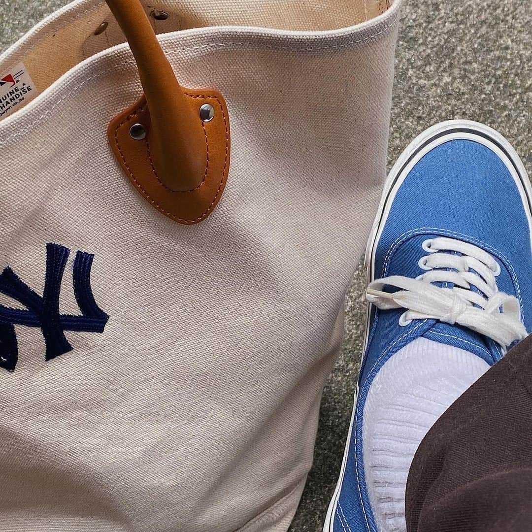 のインスタグラム：「#vans #newyorkyankees #cat #catsofinstagram #americanshorthair #aquarium #めだか #猫 #保護猫 #アクアリウム」