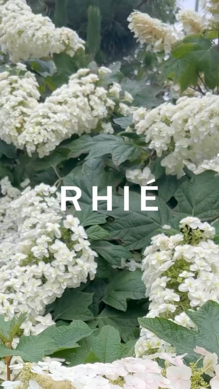 リエのインスタグラム：「Rhié goes mobile.   We are excited to be moving our operations to Los Angeles and our last day at the West Village location will be 7/20 where the space will close temporarily until our next seasonal pop up.  Moving sale until then ! Up to 50% off apparel . 283 West 11th Street, NY 10014   Pop ups coming up in LA, NY and Paris✨  Rhiestudio.com is open as usual 24/7 with complimentary shipping worldwide.」