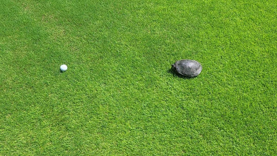 高須克弥のグルメインスタ