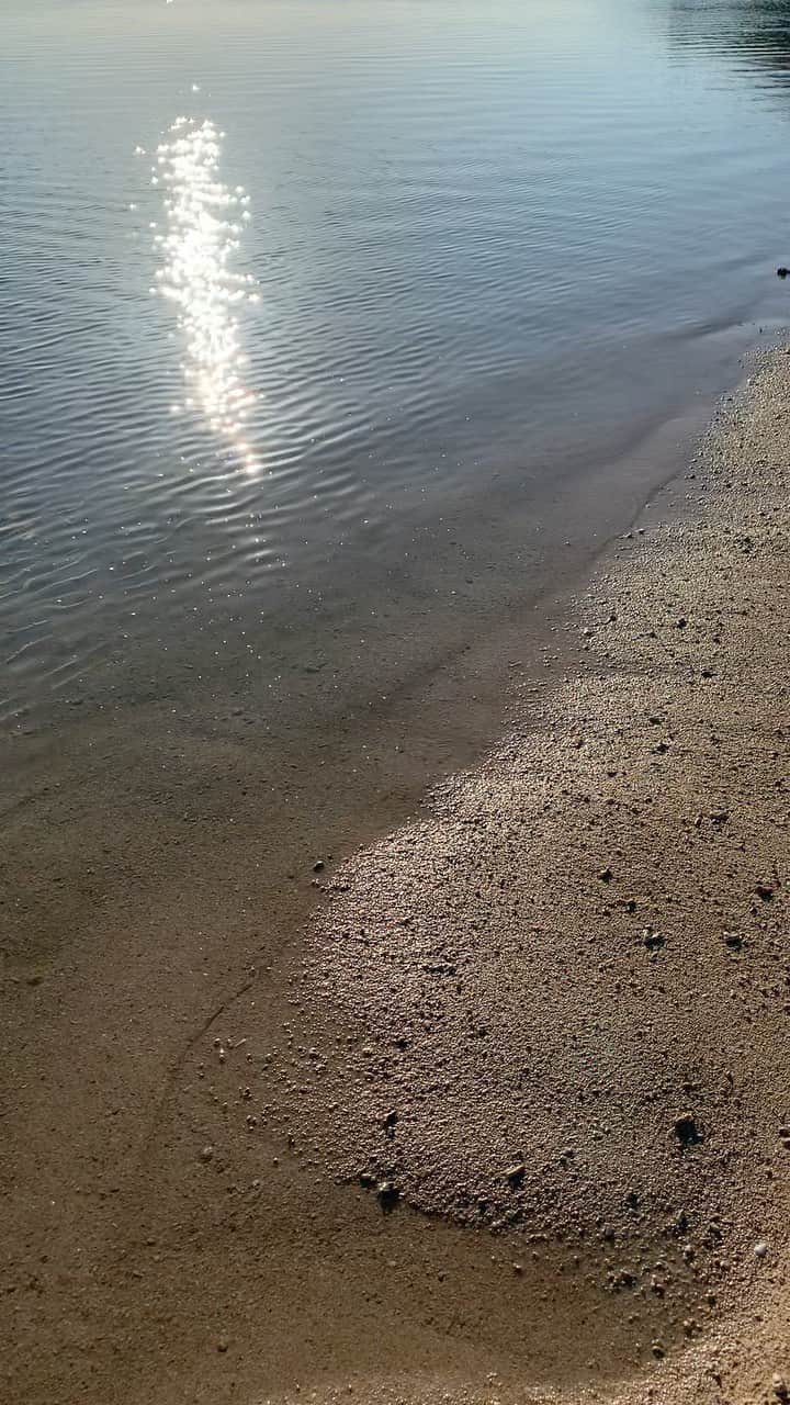 のインスタグラム：「夏。凪。癒☀️」