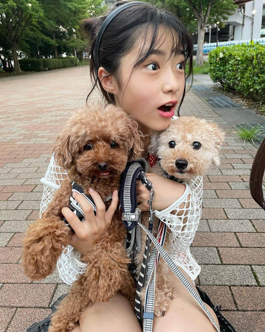 豊川亜咲さんのインスタグラム写真 - (豊川亜咲Instagram)「🐩👱🏼‍♀️🐩 . 愛犬のミニ🤎ポチ💛と お散歩〜🛼🐾 ３枚目ミニと一緒にポカーン😮笑  #お散歩 #愛犬 #トイプードル」7月13日 17時12分 - a_chan_1o3o