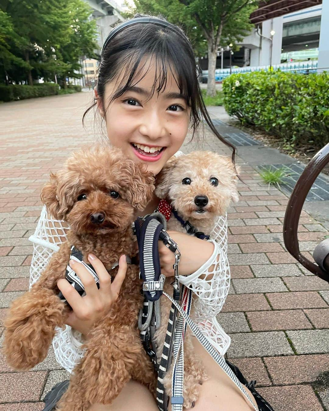 豊川亜咲さんのインスタグラム写真 - (豊川亜咲Instagram)「🐩👱🏼‍♀️🐩 . 愛犬のミニ🤎ポチ💛と お散歩〜🛼🐾 ３枚目ミニと一緒にポカーン😮笑  #お散歩 #愛犬 #トイプードル」7月13日 17時12分 - a_chan_1o3o