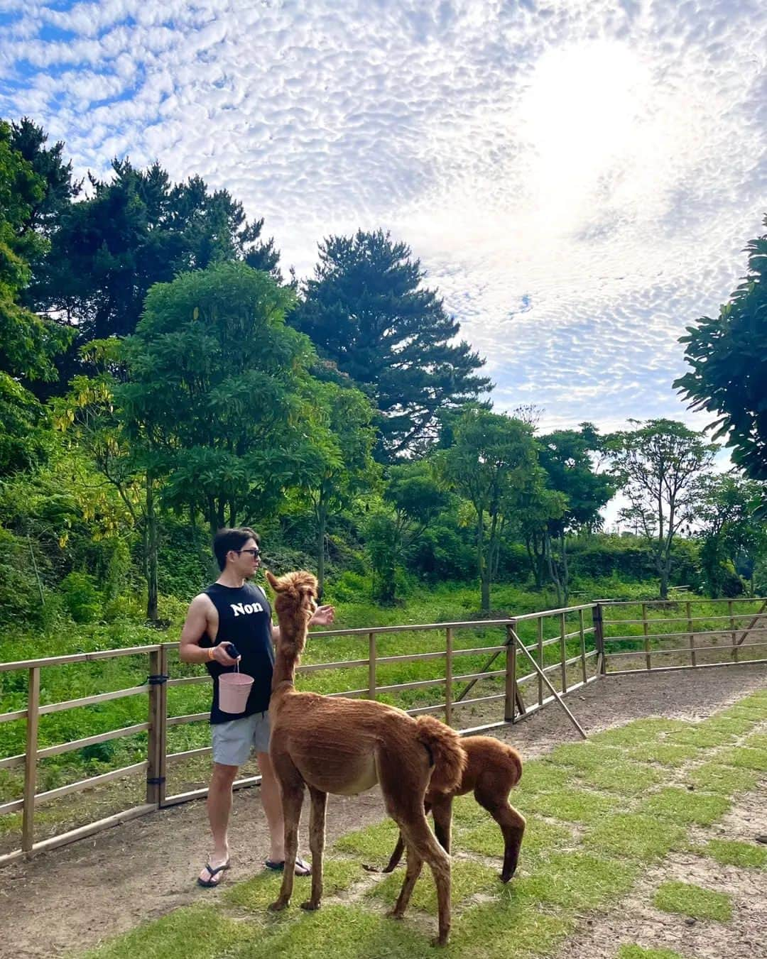 リッキーさんのインスタグラム写真 - (リッキーInstagram)「제주살이 3일차 🌴」7月13日 18時48分 - ricky_teentop_