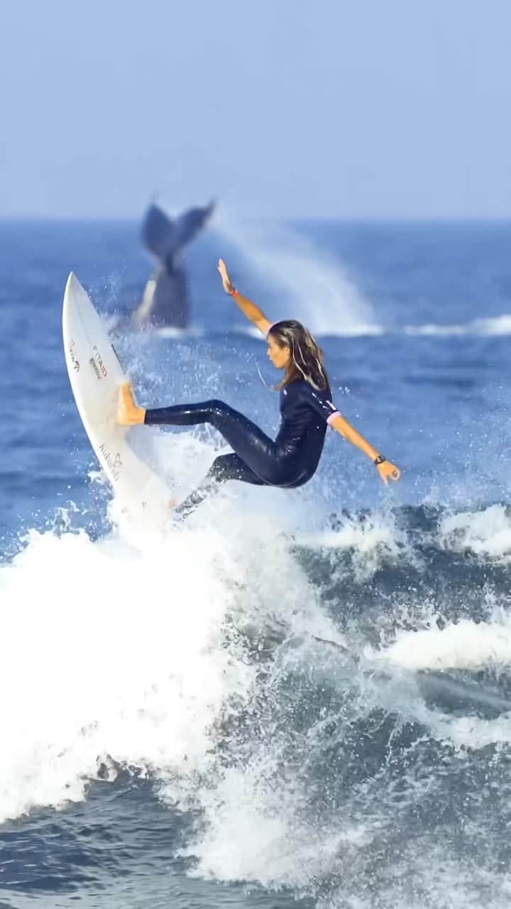 のインスタグラム：「sharing the ocean with an incredible animal🐳🤭🐋 Mother Nature is amazing🐋🐳 😍. thank you for capturing @alexhayesphoto   #surf #whale #travel #mothernature #fun」